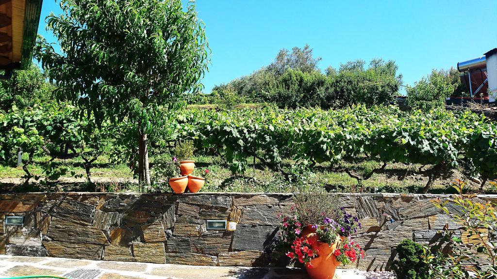 Douro Valley - Casa Vale do Douro Villa Lamego Exterior foto