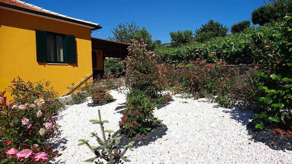 Douro Valley - Casa Vale do Douro Lamego Exterior foto