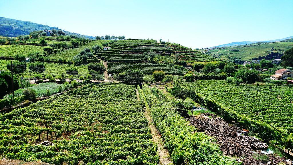 Douro Valley - Casa Vale do Douro Lamego Exterior foto